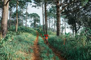 BIB: 
                            <button type="button" onclick="openModal(25652571)" class="btn btn-primary btn-sm float-right btn-popup" data-toggle="modal" data-target=".modal-high-quality">
                        <i class="fas fa-shopping-cart"></i> Add to Cart
                    </button>
                                            <button type="button" onclick="isThisMe(25652571, true)" class="btn btn-success btn-sm float-right btn-popup btn-isme hidden" data-toggle="tooltip" data-placement="bottom" title="นี่คือรูปของคุณใช่ไหม คลิกที่นี่เพื่อเอาเข้าอัลบั้ม">
                        <i class="fas fa-plus"></i> Add to album
                    </button>
                    <button type="button" onclick="isThisMe(25652571, false)" class="btn btn-warning btn-sm float-right btn-popup btn-isnotme hidden">
                        <i class="fas fa-ban"></i> Remove from album
                    </button>